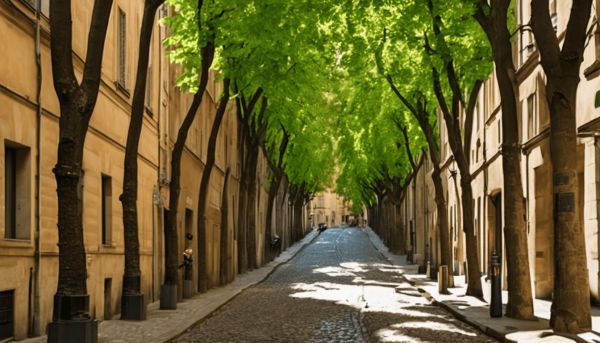 Pourquoi la rue des marronniers à Lyon mérite votre attention