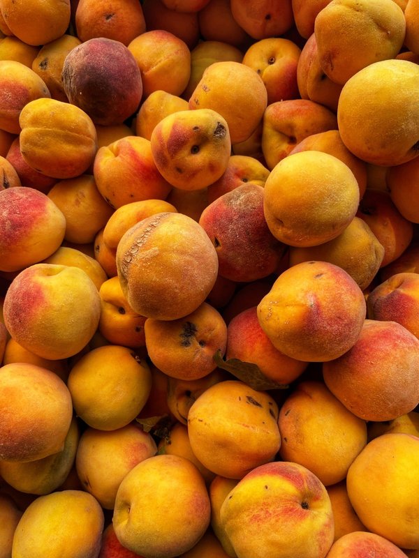 Comment vivre une expérience de pêche à la mouche en Écosse avec des guides expérimentés ?