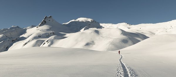 Est-il possible de louer une cabane dans les arbres en Scandinavie pour des vacances polaires ?