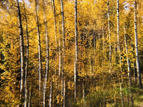 Quels sont les endroits pour observer les phénomènes lumineux rares tels que les mirages ?